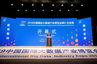 2019中国国际大数据产业博览会铜仁分会场开幕 共绘“智慧铜仁”新蓝图